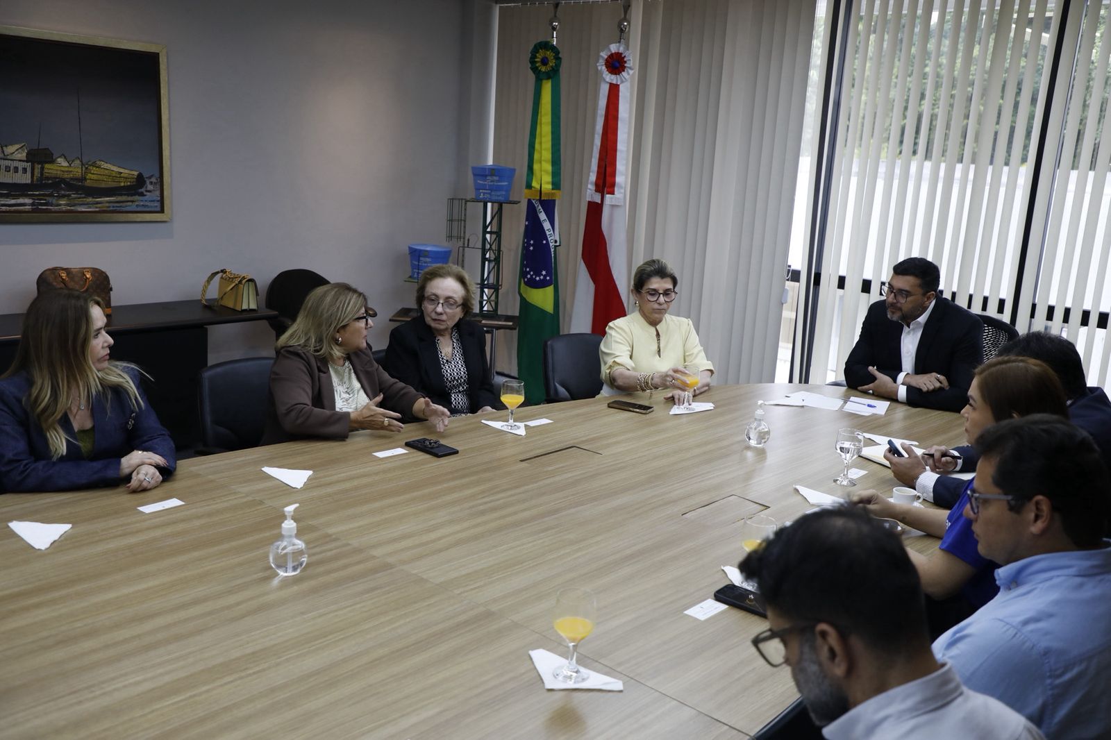 MPAM, TJAM e TRE-AM articulam com Governo do Estado fortalecimento da política ambiental