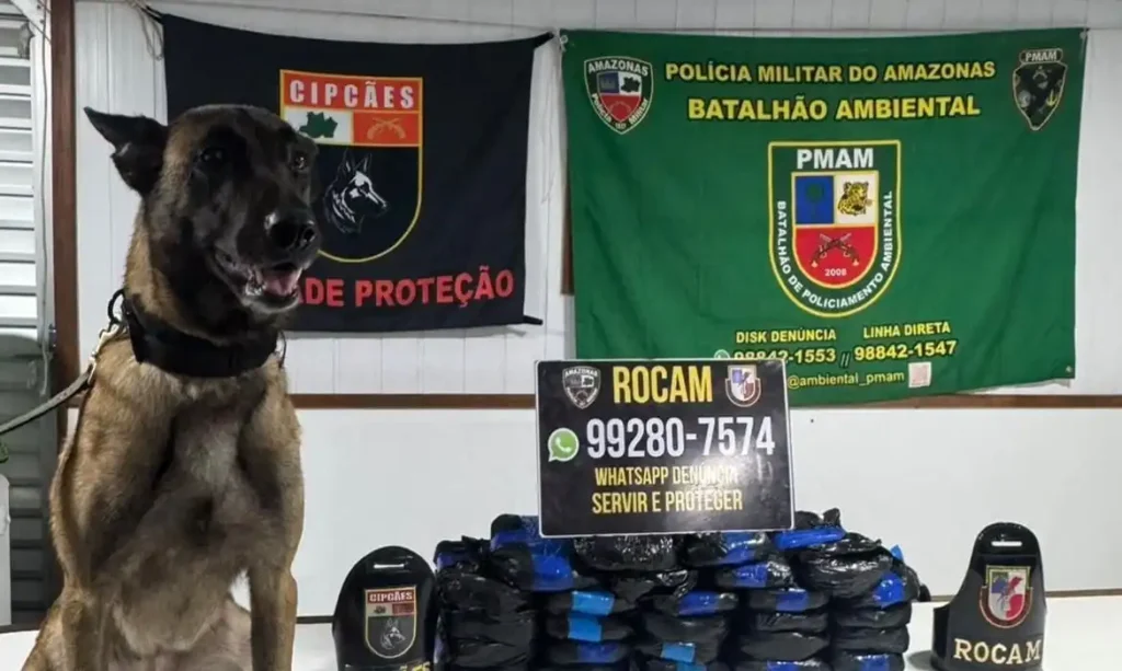 PMAM apreende 26 kg de entorpecentes e prende traficante