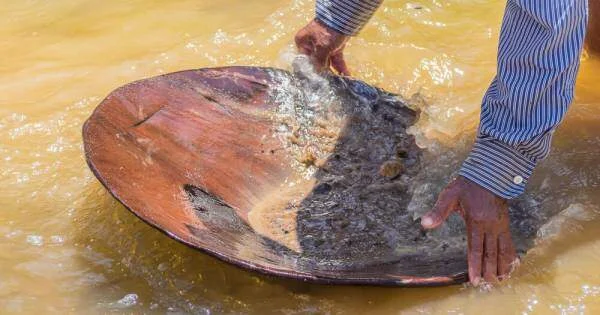 Greenpeace aponta lavagem de US$3,8 bilhões em ouro na Amazônia
