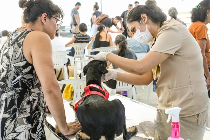 Castramóvel inicia agendamento cirúrgico nos bairros Compensa e Santo Antônio