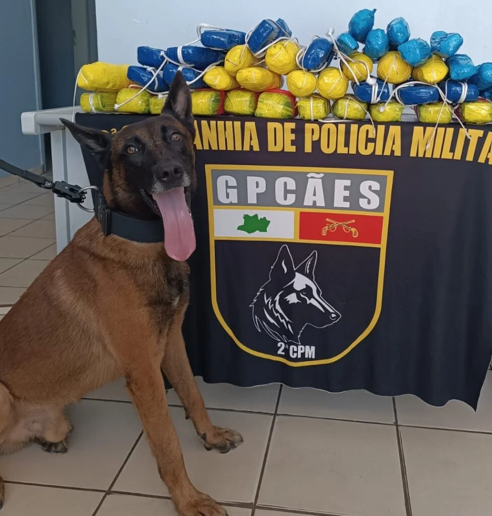 Polícia apreende mais de 21 kg de pasta-base de cocaína