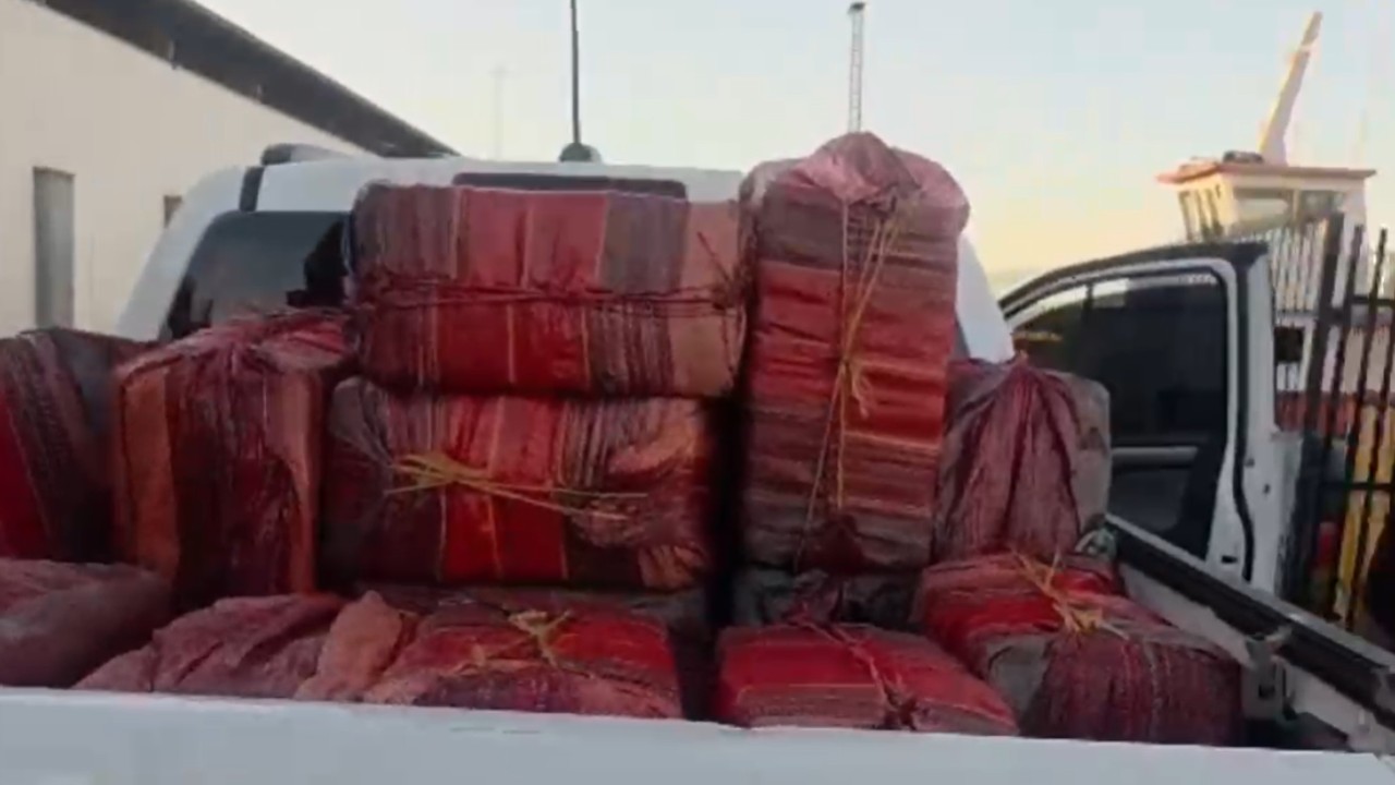 Cerca de 700 quilos de skunk, armas e munições são apreendidos em área de mata na zona rural de Manaus