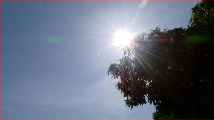 Calor extremo e seca: Amazonas pode enfrentar trimestre com temperaturas acima da média e menos chuva
