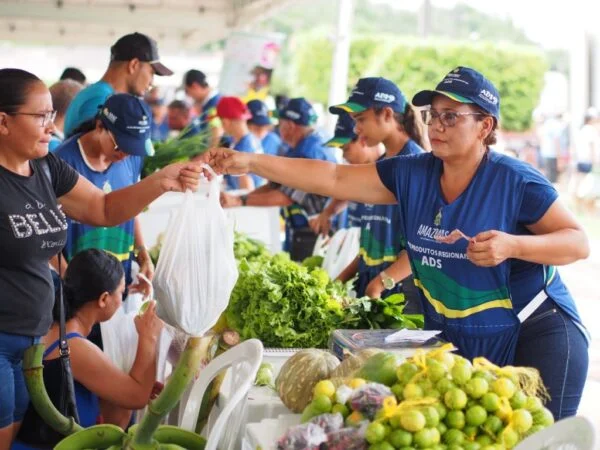 Edital oferece até R$500 mil para fortalecer projetos da agricultura